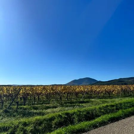 شقة Le Refuge De La Vallee - Pleine Nature - 4 Guests بارْ